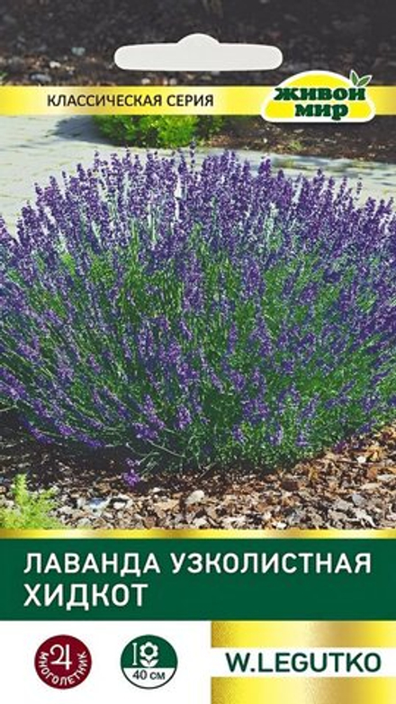 Лаванда узколистная "ЖМ. Хидкoт" 0,1г., Польша.