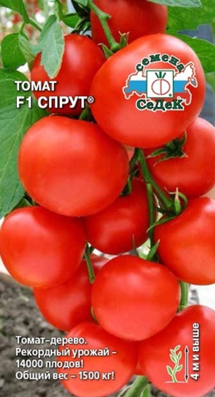 Томат Спрут F1 Седек
