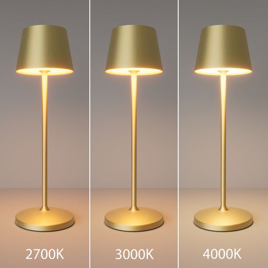 Аккумуляторный светильник Maytoni MOD494RL-L1BSK