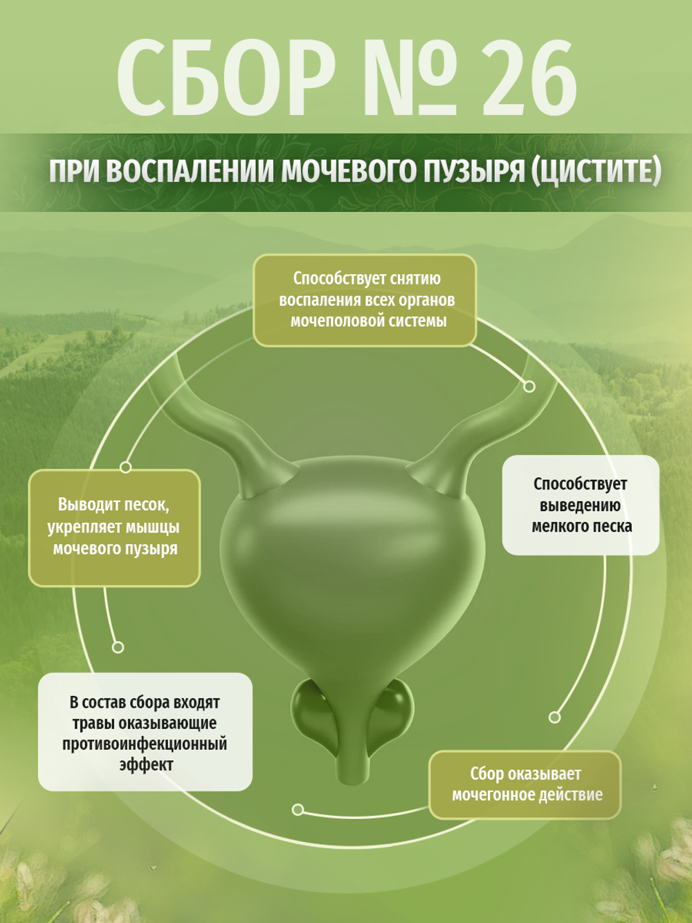 Сбор № 26 При воспалении мочевого пузыря (цистите)