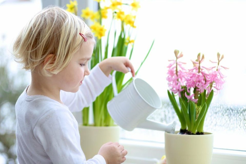 Есть два ребенка, которые поливают цветы вместе. | Премиум Фото