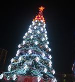 Светодинамическая елка ствольная - встроенная гирлянда: Теплый свет - "Таежная" от 11 до 21 м