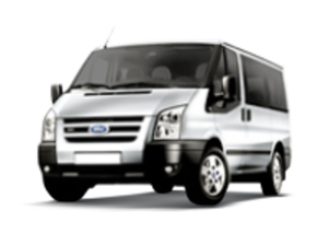 Пороги на Ford Transit/Tourneo