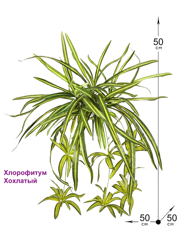 Искусственный Хлорофитум хохлатый