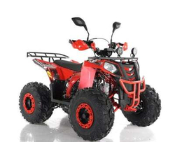 Квадроцикл RAPTOR R8