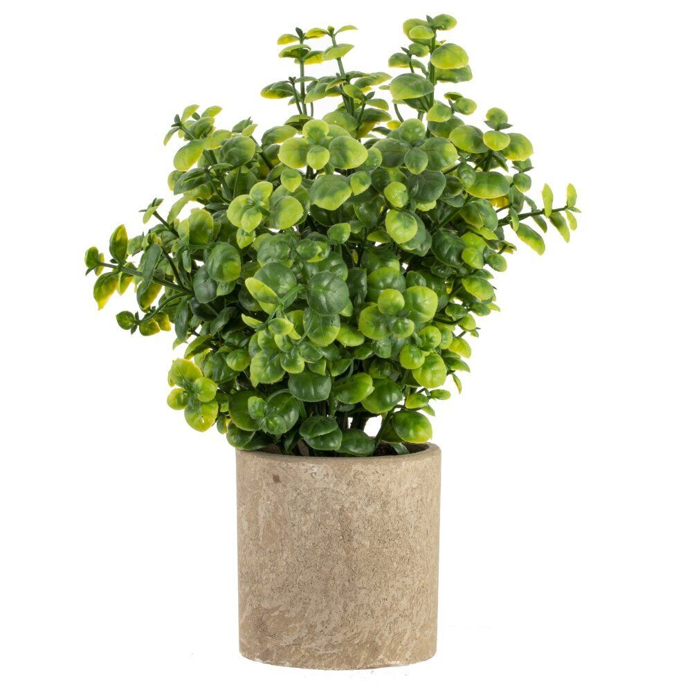 GAEM Цветочная композиция, L8 W8 H23 см