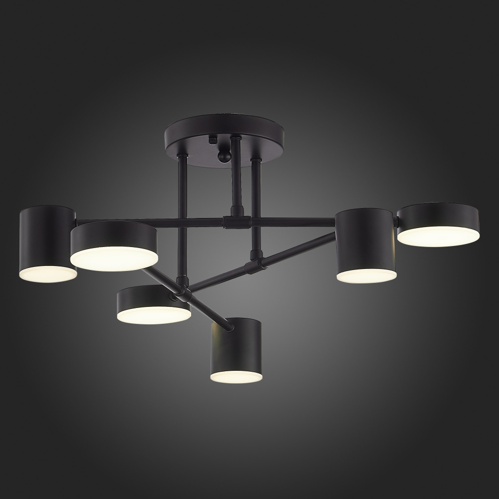 Светильник потолочный Evoluce Nobel SLE201042-06