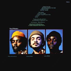 The 3 Pieces / Vibes Of Truth (LP)