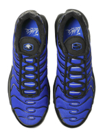 Мужские Кроссовки Nike Air Max Plus Premium