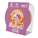 Ламистер для взрослых собак мини-пород Molina цыпленок и тунец в желе, 75 г
