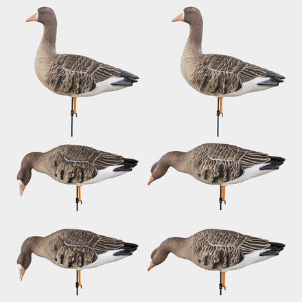 Белолобый гусь Duck Mania "ELITE"