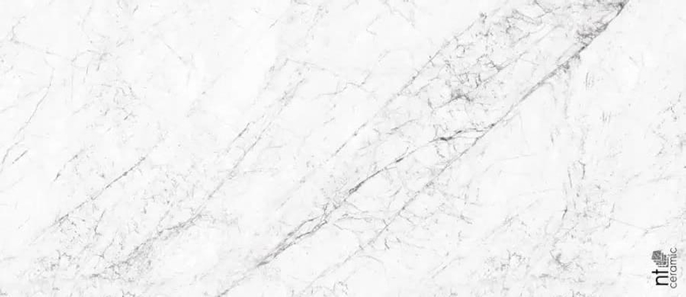 NT Ceramic Atlas Home Carrara Elite 120x280