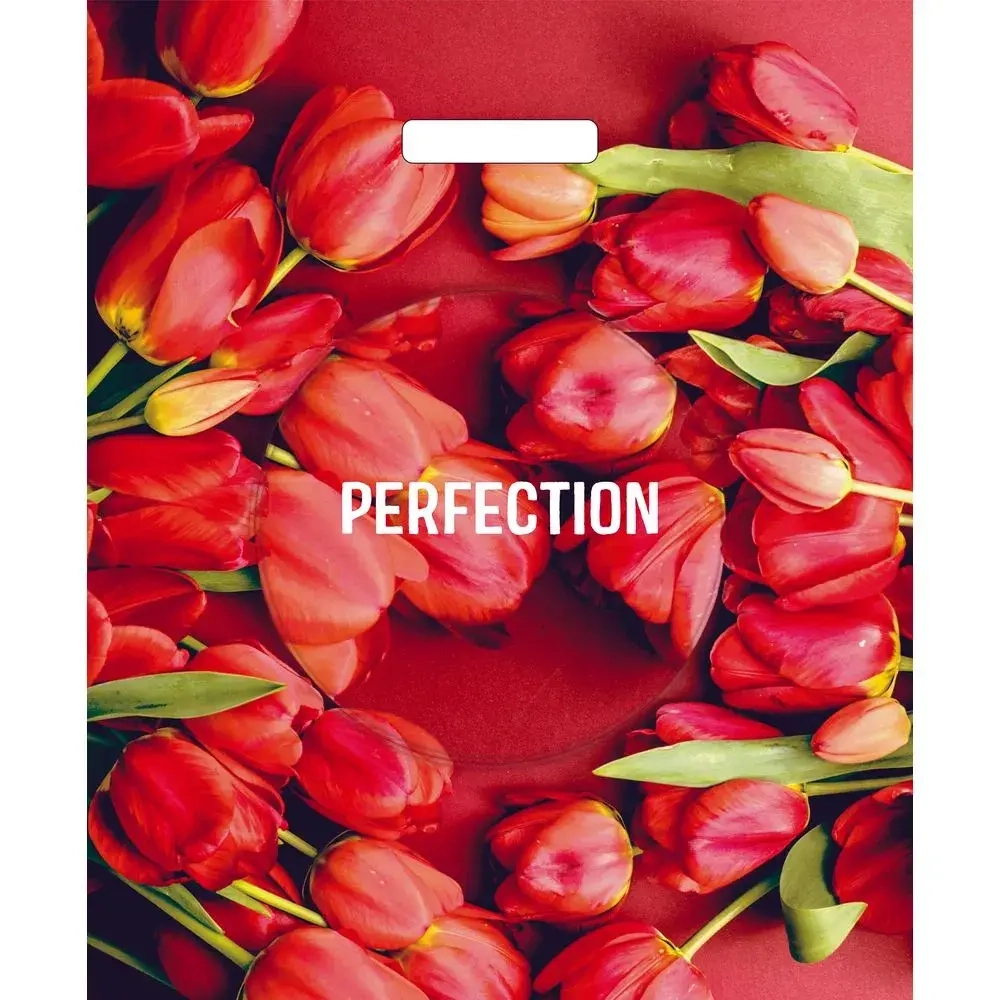 Пакет ПЭ с вырубной ручкой 38+3Артпласт глянец (Совершенство) Р (комплект 25 шт)