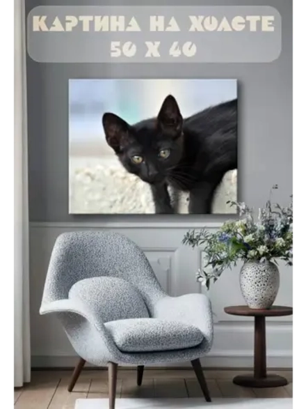 Картина на стену 40 X 50 Котик