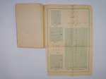 "Учение о простейших функциях, их графиках и теория пределов". 1918 г.