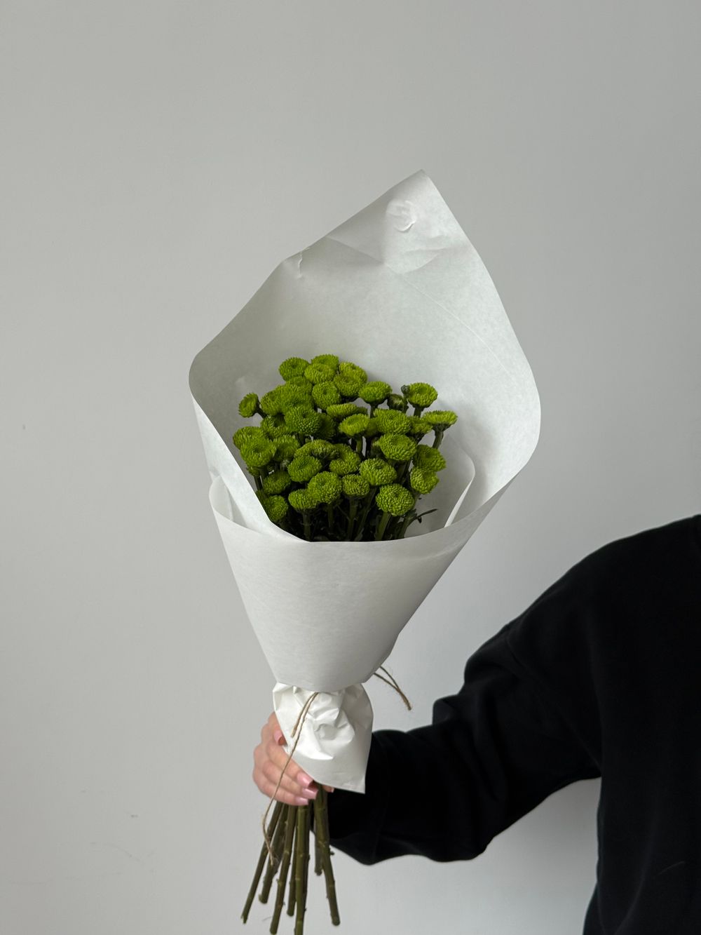 Охапка хризантемы в зеленом оттенке 10 шт