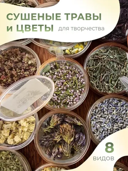 Набор сушеные травы и сухоцветы для творчества №1