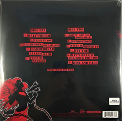 Виниловая пластинка The Offspring Rise And Fall, Rage And Grace