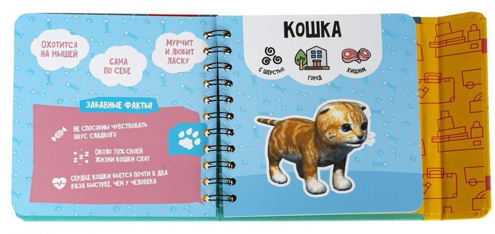 Компактные развивающие игры в дорогу Bondibon. "ИЗУЧАЕМ ДИКИХ И ДОМАШНИХ ЖИВОТНЫХ" 3+