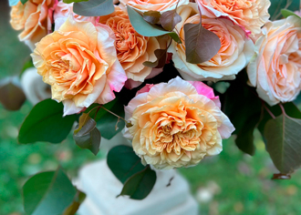 На восходе солнца