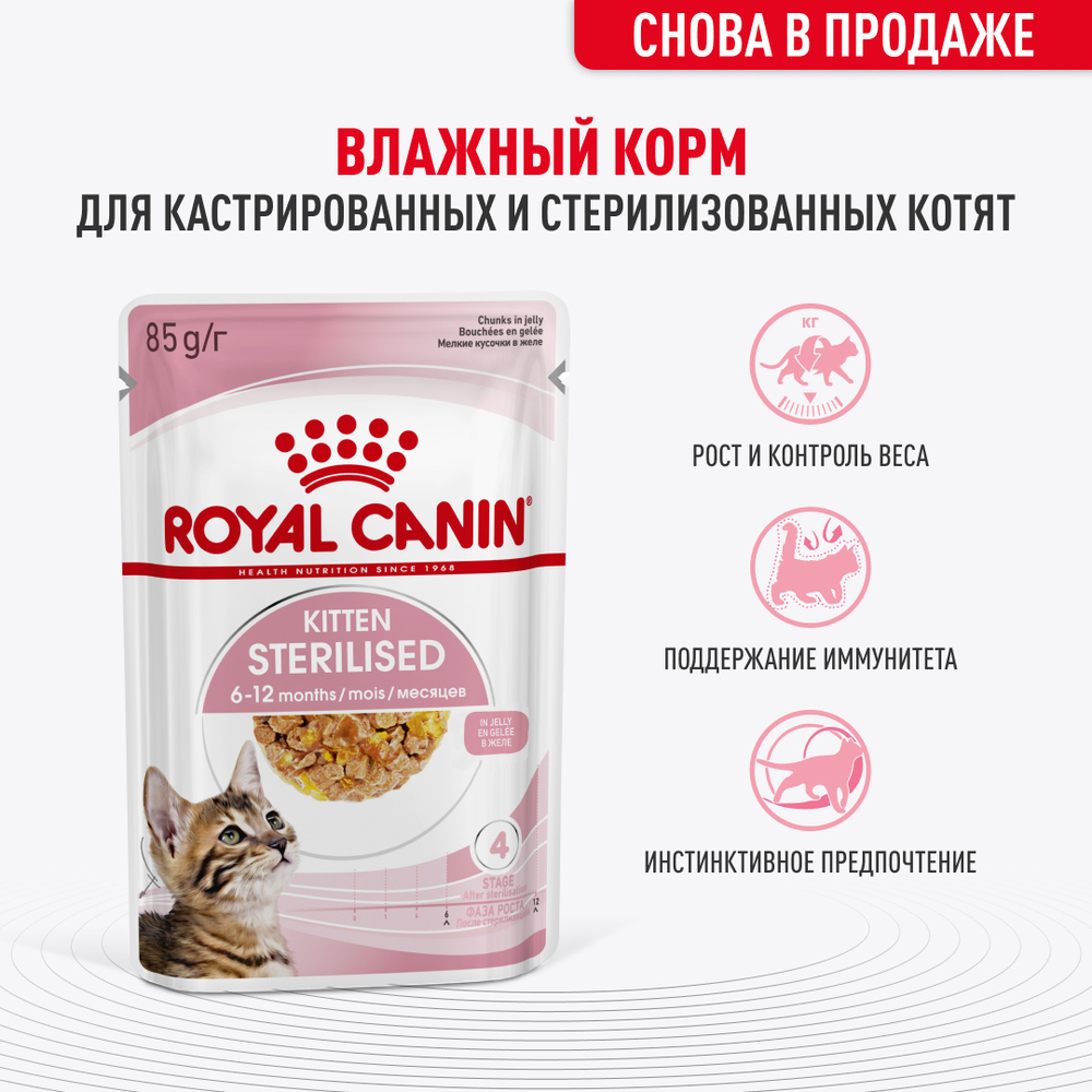 Royal Canin Kitten STERILIZED Корм консервированный для котят в желе 85г
