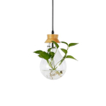 Pendant design lamp  Fito 1