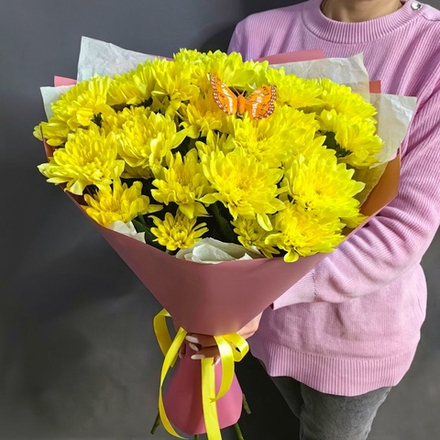 Букет из 5 хризантем сорта "BALTICA YELLOW" с бабочкой