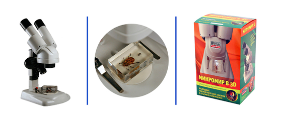 Набор учебный "Микромир в 3D"