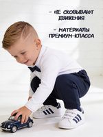 Брюки "Джентльмен"