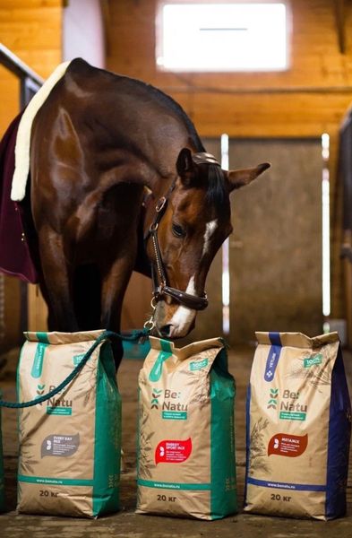 Чем кормить возбудимых лошадей?