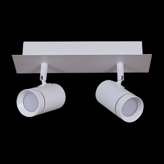 84281-9.5-002RT LED2*5W WT светильник точ. поворотный