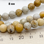 Коралл окаменелый, размер около 8,1-8,3 мм, цена за 22-23 шт (1/2 нити)