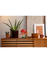 Конструктор Botanical Collection 10348 Японский красный клен