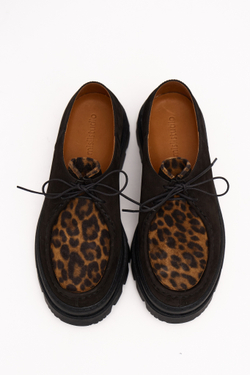 MocToe Brown Leo
