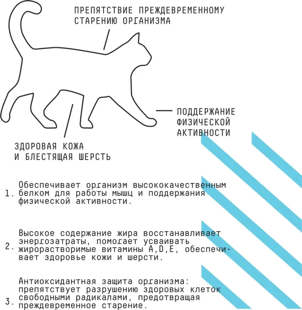 AJO (Айо) Cat Аctive Сухой полнорационный корм для взрослых кошек, 1,5 кг
