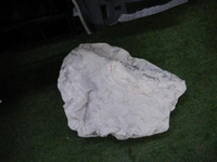 DSCN8980.JPG