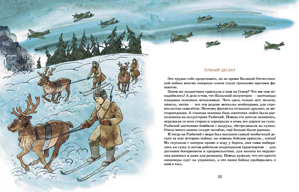 Вот ты какой, Северный олень!