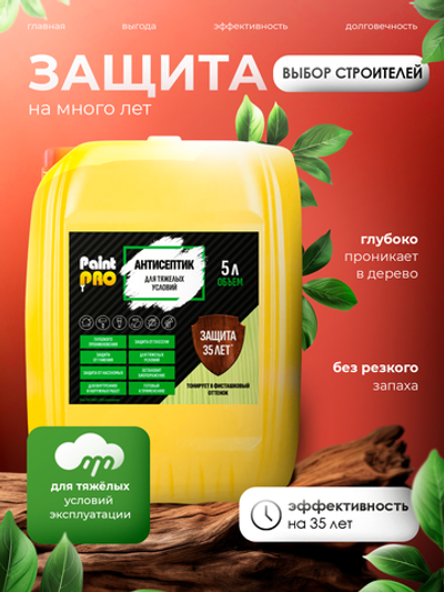 Антисептик для тяжелых условий PaintPRO 5л