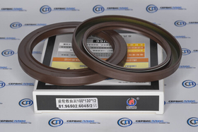 Сальник передней ступицы F2000 100х130х12 81.96502.6045 Shaanxi