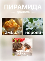 Жидкое мыло Prof-Royal "Black Pepper & Amber", парфюмированное, для всех типов кожи, 300мл