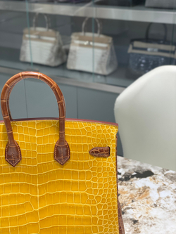 Hermes Birkin 25