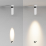 Спот Maytoni FOCUS LED C055CL-L12W3K-SS-W
