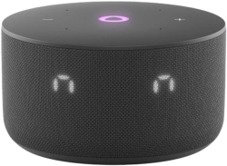 Умная колонка Yandex Станция Мини 3 Алиса черный 12W 1.0 BT/Wi-Fi (YNDX-00027BLK)