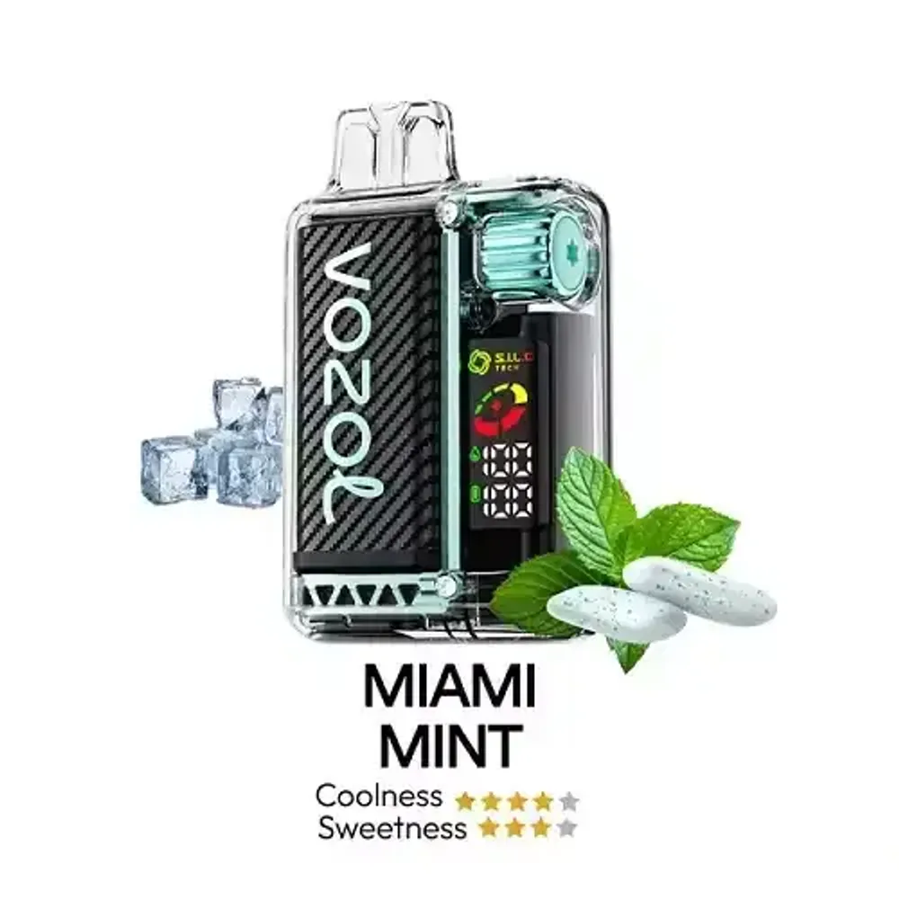 Vozol Vista 20000 - Miami Mint (5% nic)