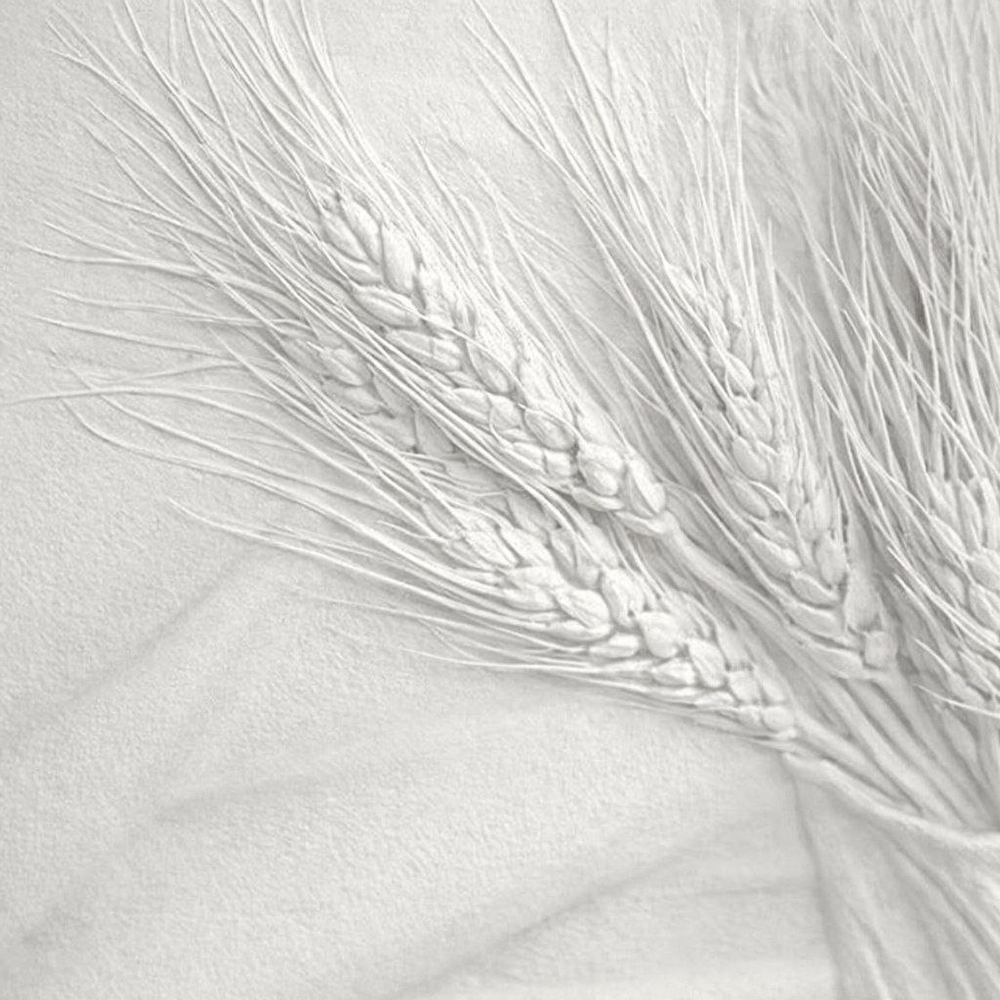 Лифтинг-крем для тела со спикулами