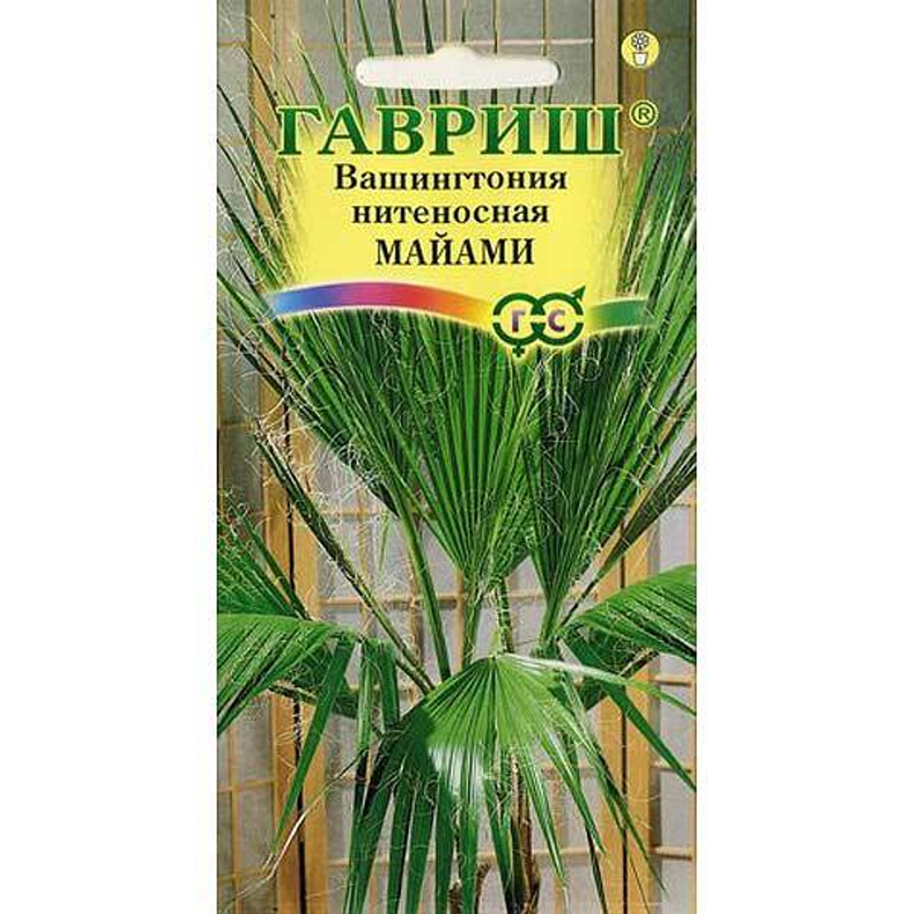 Вашингтония нитеносная Майами 3шт.