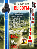 Палки для трекинга, скандинавский ходьбы/ телескопические Carbon pole EVA grip /2 шт, цвет черный