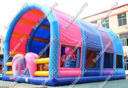 Надувной батут с крышей "Дельфинарий" 11*8*7 м