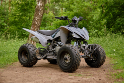 Квадроцикл SHARMAX Raizer Race Cup 250