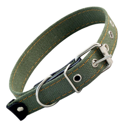 GAMMA Ошейник брезентовый, 20*450 мм
